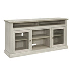 Stone Gray 60 TV Stand with Cable Management, Glass Doors, and Adjustable Shelves for TVs Up to 65