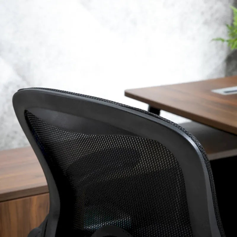 Office Chair with Lumbar Support